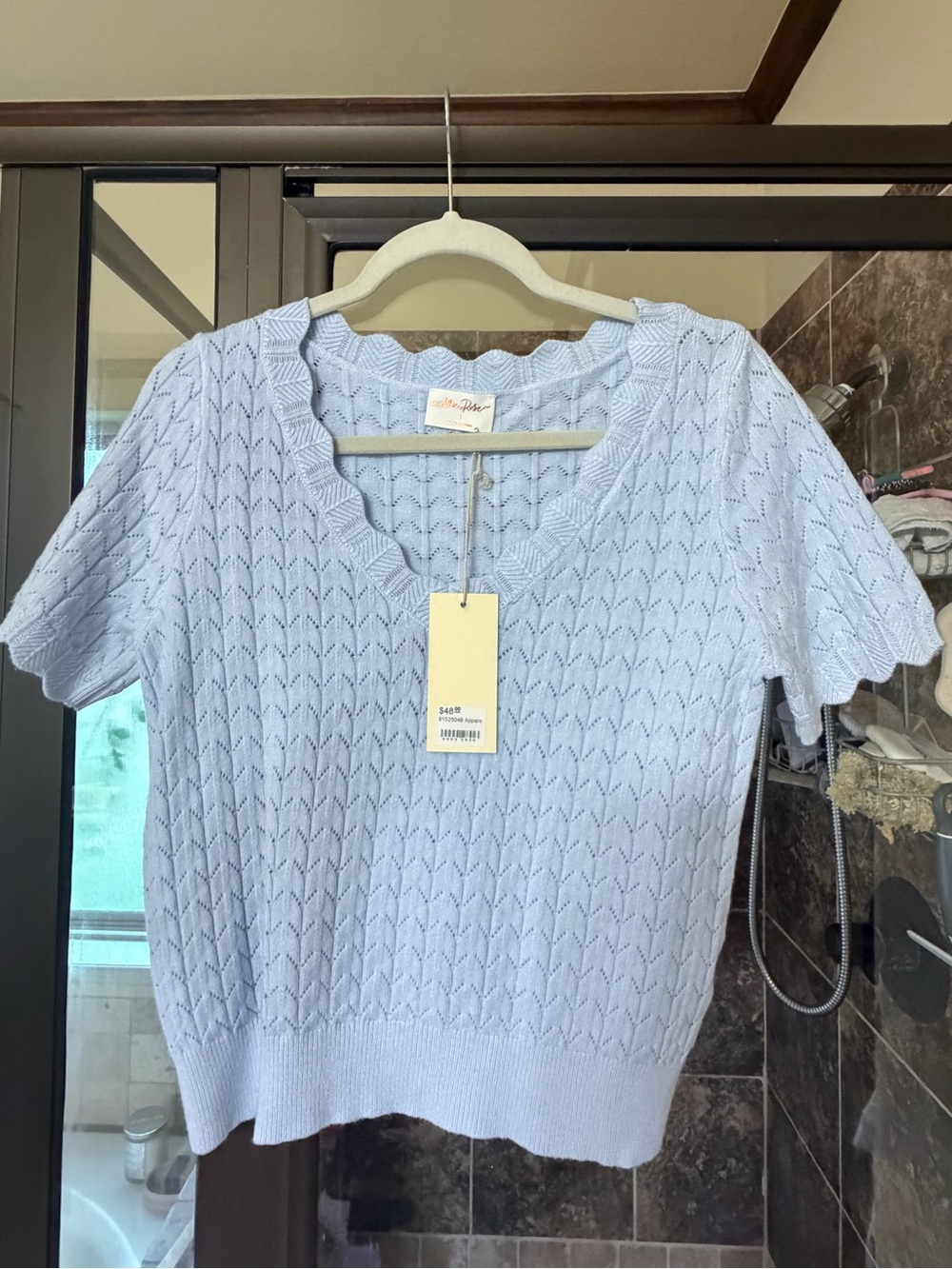 Scalloped V-Neck Pointelle Sweater in Light Blue